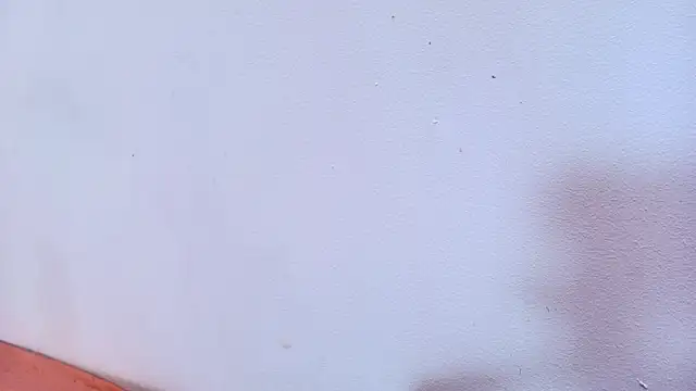 Amy wats0n online show from March 12, 10:07 pm