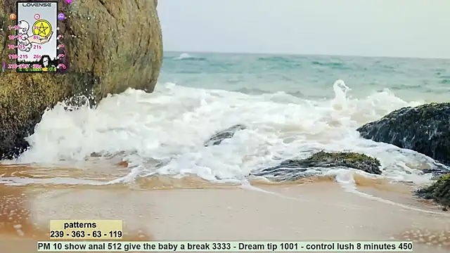  sex in paradise  online show from December 17, 11:59 pm