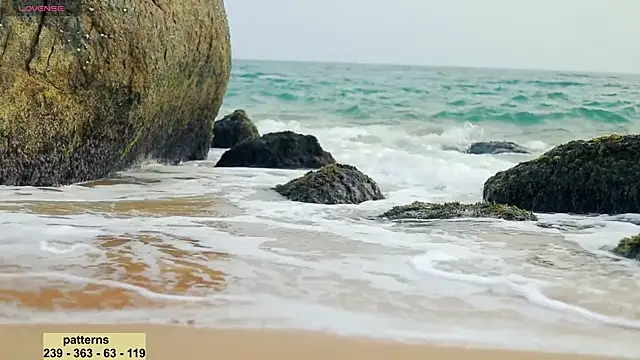  sex in paradise  online show from January 20, 11:54 pm