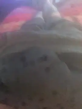 solomec online show from September 25, 6:39 am