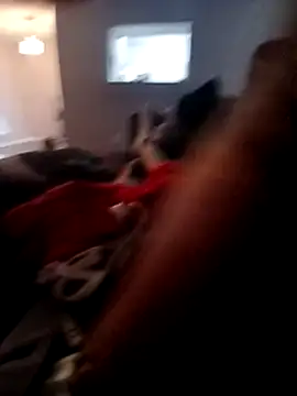 Snapshot of willywonka7793 chatting on December 15, 9:42 pm willywonka7793 online show from December 15, 9:42 pm