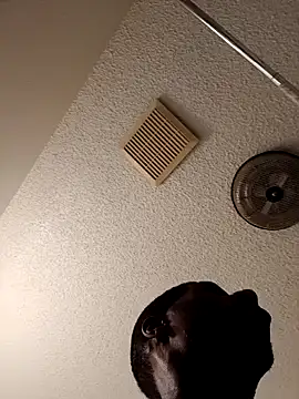 Snapshot of willywonka7793 chatting on March 3, 4:56 pm willywonka7793 online show from March 3, 4:56 pm