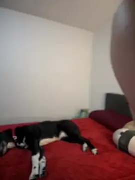 Snapshot of ariiel_ chatting on February 3, 10:43 pm ariiel online show from February 3, 10:43 pm