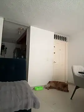 Snapshot of ariiel_ chatting on March 19, 8:22 pm ariiel online show from March 19, 8:22 pm