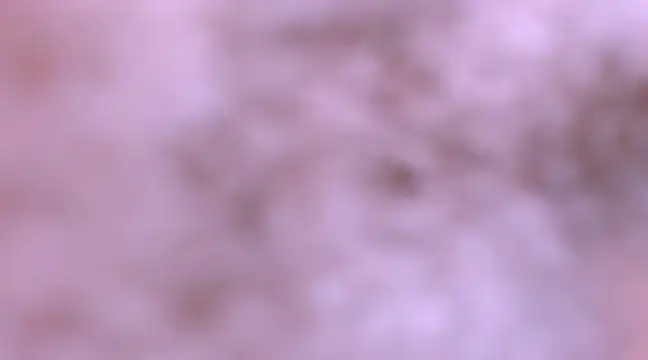 Snapshot of bubble_red chatting on February 8, 4:47 am bubble red online show from February 8, 4:47 am