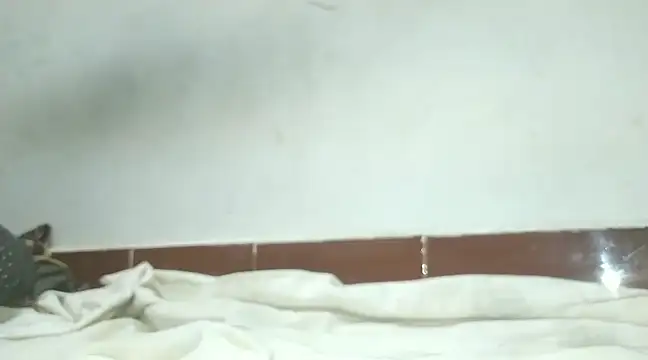 Snapshot of alansteer chatting on February 7, 6:45 pm alansteer online show from February 7, 6:45 pm