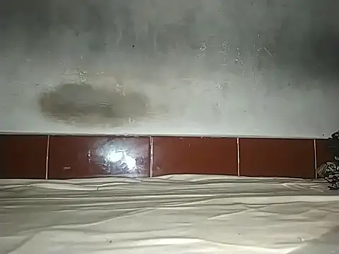 Snapshot of alansteer chatting on October 21, 8:15 am alansteer online show from October 21, 8:15 am