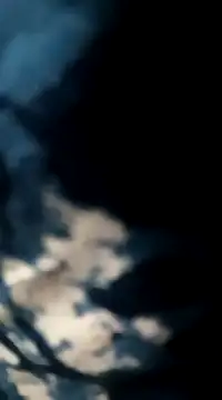 Sneha gril online show from February 26, 5:39 pm