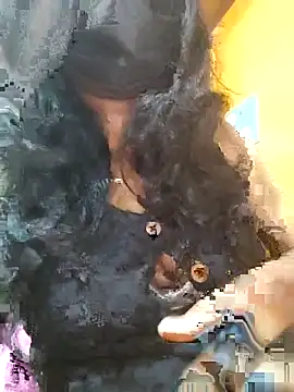 Tamillminnal online show from September 13, 5:02 pm