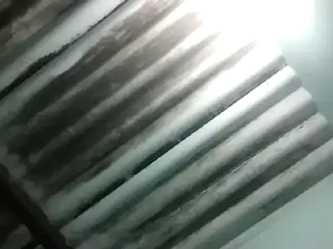 Snapshot of maximo_vega_newv chatting on January 6, 10:58 pm maximo vega newv online show from January 6, 10:58 pm