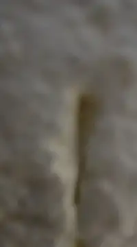 tuty Tap online show from December 7, 5:31 pm