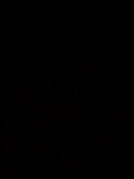 Feli230990 online show from October 8, 7:50 am