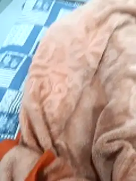 Snapshot of Kakabiraji chatting on November 8, 5:01 pm Kakabiraji online show from November 8, 5:01 pm