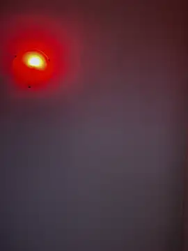 SecretlyDD online show from February 12, 5:16 pm