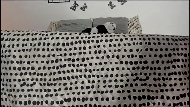 Keiny-Rave online show from March 18, 1:32 am