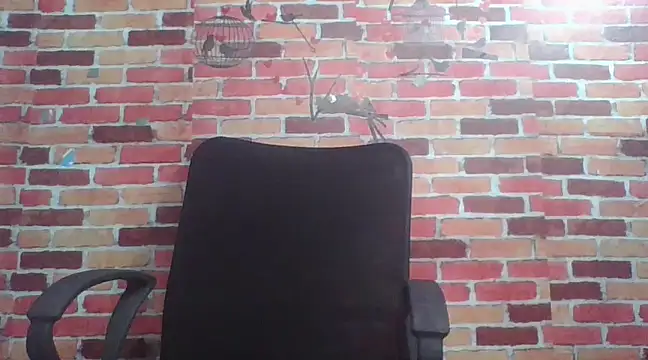 telugu indhu 0001 online show from December 24, 12:44 am