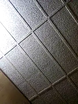 zaneporter46 online show from February 8, 12:49 am