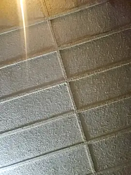 zaneporter46 online show from February 8, 9:56 am