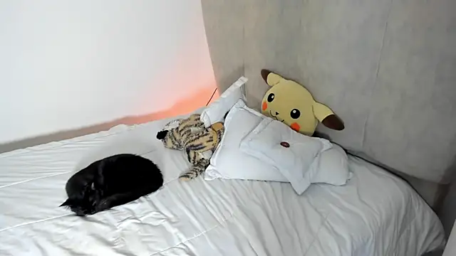 rachaeldeckard   online show from January 25, 8:10 am