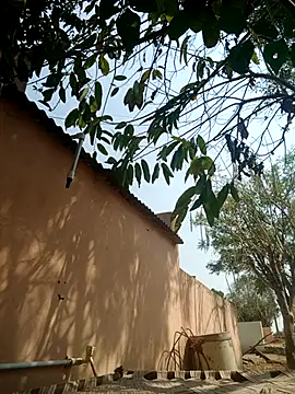 carria homes online show from March 14, 9:14 am