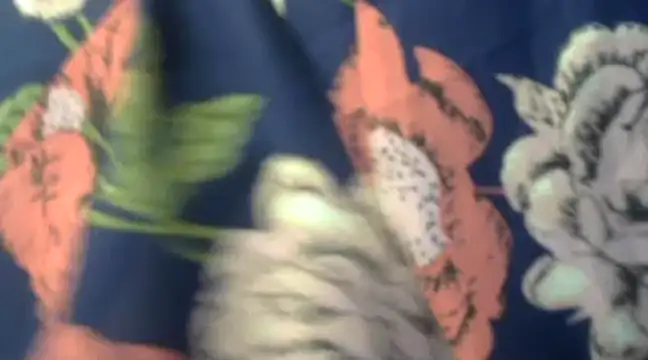 Naughty Nayra online show from February 3, 3:31 am