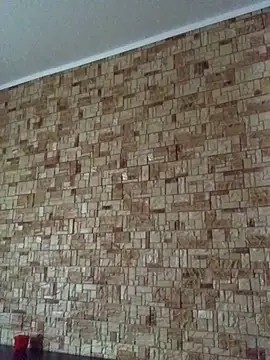 Prolisok473 online show from January 30, 9:25 am