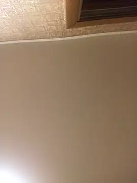 Prolisok473 online show from January 30, 3:29 pm