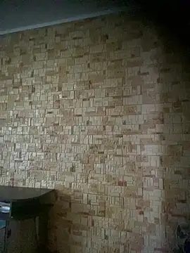 Prolisok473 online show from February 28, 8:31 am