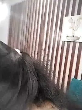 KRYSSTARITTER4 online show from March 22, 2:03 pm