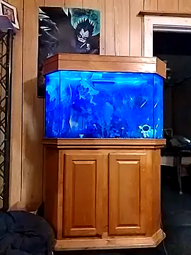 Rebeckalove online show from February 16, 1:49 pm