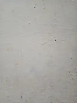 Snapshot of Pooja_cut chatting on December 17, 2:28 am Pooja cut online show from December 17, 2:28 am