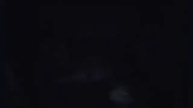 ParaFox online show from September 14, 8:30 pm