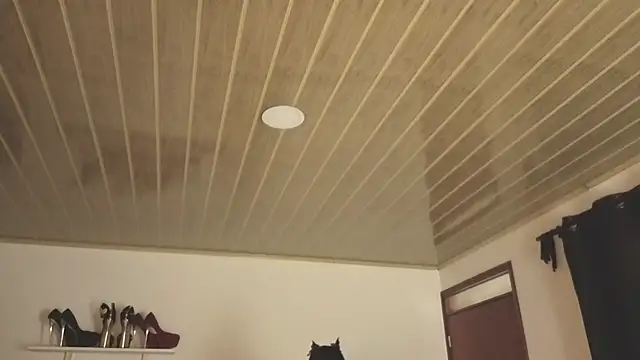 Renaxi Smith online show from October 31, 7:59 pm