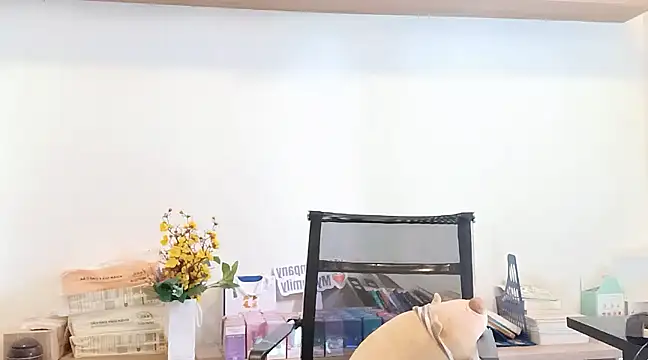 Lush-Office online show from March 12, 7:57 am