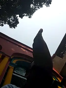 Snapshot of xx54362 chatting on March 1, 7:19 am xx54362 online show from March 1, 7:19 am