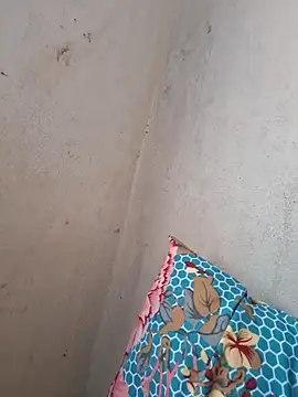 Snapshot of novinhatransexy chatting on November 19, 5:57 pm novinhatransexy online show from November 19, 5:57 pm