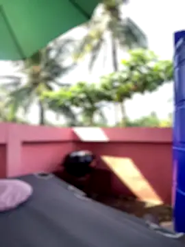 Snapshot of White_Lu chatting on September 25, 2:04 am White Lu online show from September 25, 2:04 am