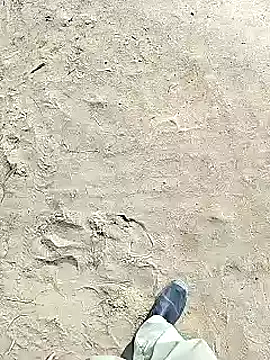 xmanrawan2 online show from February 2, 6:37 am