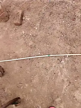 xmanrawan2 online show from October 9, 7:50 am