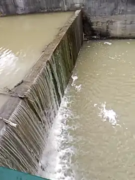 Pourleplasirs online show from February 24, 4:04 pm