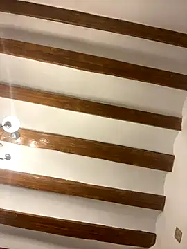 Snapshot of laarti chatting on November 28, 4:42 pm laarti online show from November 28, 4:42 pm