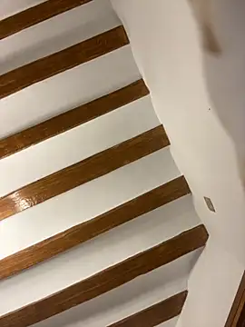 Snapshot of laarti chatting on December 1, 3:28 pm laarti online show from December 1, 3:28 pm