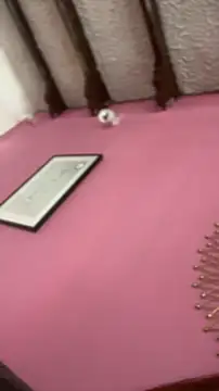 Valu euphoria online show from November 28, 8:22 pm