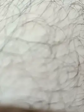 Arabian online show from November 7, 3:01 pm