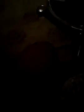 Arabian online show from December 5, 9:40 am