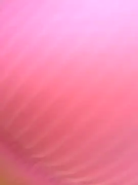 Snapshot of Dulce__Boyd chatting on November 11, 1:44 pm Dulce Boyd online show from November 11, 1:44 pm