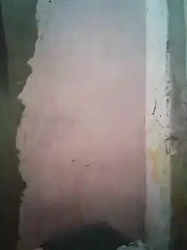 shuelldin online show from February 16, 5:59 am