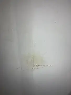 Snapshot of Hamza-Maroki chatting on October 3, 8:28 pm Hamza-Maroki online show from October 3, 8:28 pm