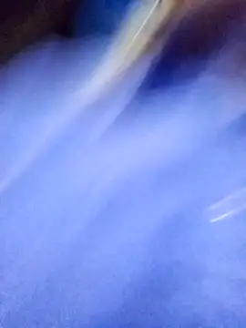 CandieGilson   online show from October 16, 10:27 am