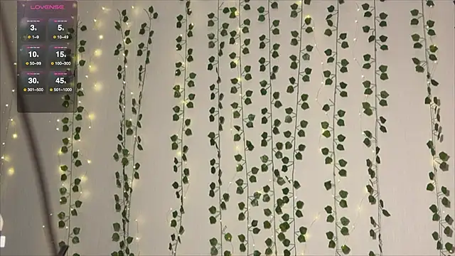 Asian Vi online show from October 1, 11:38 am